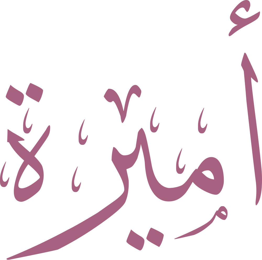 اسم أميرة مكتوب بشكل جميل – معنى اسم أميرة وصفاته