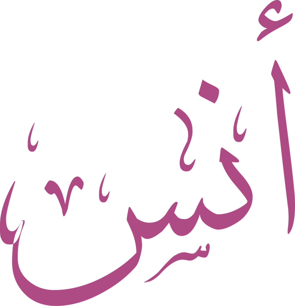 مخطوطة اسم أنس بخط إيكو مزخرف بصيغة PNG شفافة بدون خلفية، تُبرز همزة الألف وتوازن النون مع تماوج السين في النهاية بخط أنيق.