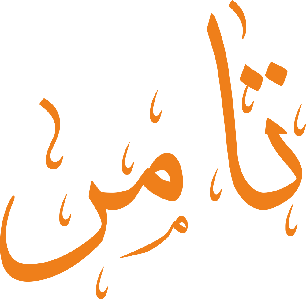 "لوجو (Logo) لاسم تامر مكتوب بخط إيكو المبتكر، يتميز بتداخل الحروف وانسيابيتها المزخرفة، التصميم مفرغ وبدون خلفية ليناسب جميع الاستخدامات الجرافيكية، يعبر عن القوة والحداثة في آن واحد."