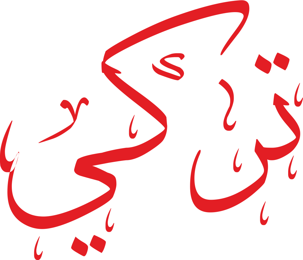 مخطوطة اسم تركي بخط إيكو مزخرف بصيغة PNG شفافة بدون خلفية، تُبرز نقطتي التاء مع زاوية الكاف ونهاية الياء بذيل أنيق.