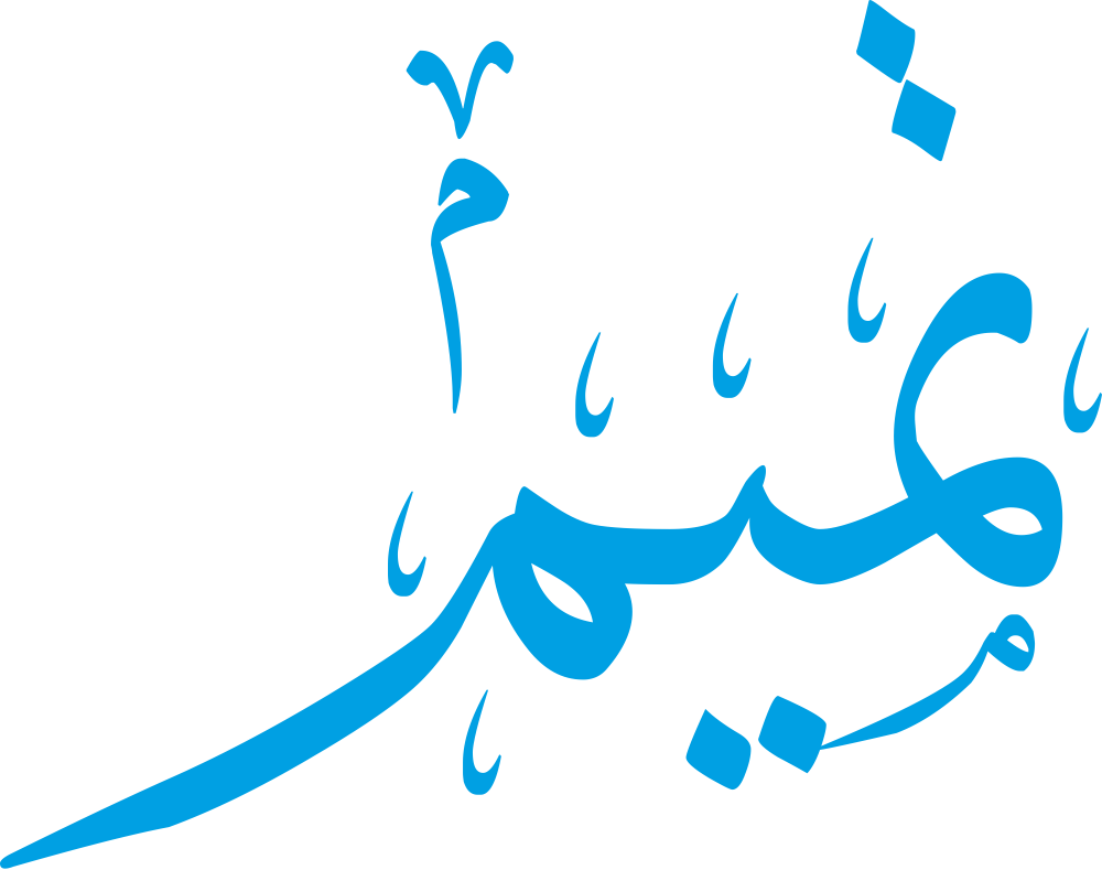 مخطوطة اسم تميم بخط إيكو مزخرف بصيغة PNG شفافة بدون خلفية، تُبرز نقطتي التاء وتوازن الميمين مع نهاية مستقرة للحرف الأخير.