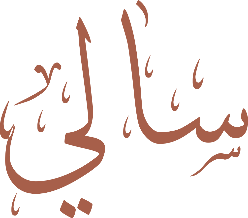 تصميم مخطوطة اسم سالي بخط إيكو المزخرف (Eco Font) بصيغة PNG شفافة بدون خلفية، يبرز انسيابية حرف السين وتناغمه مع الياء الأخيرة في شكل فني عصري وأنيق.