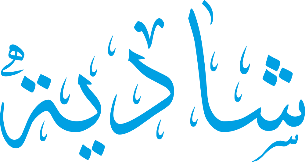 تصميم مخطوطة اسم شادية بخط إيكو المزخرف (Eco Font) بصيغة PNG شفافة بدون خلفية، يتميز بترابط فني رائع بين الدال والياء يعكس الرقة والأصالة العربية.