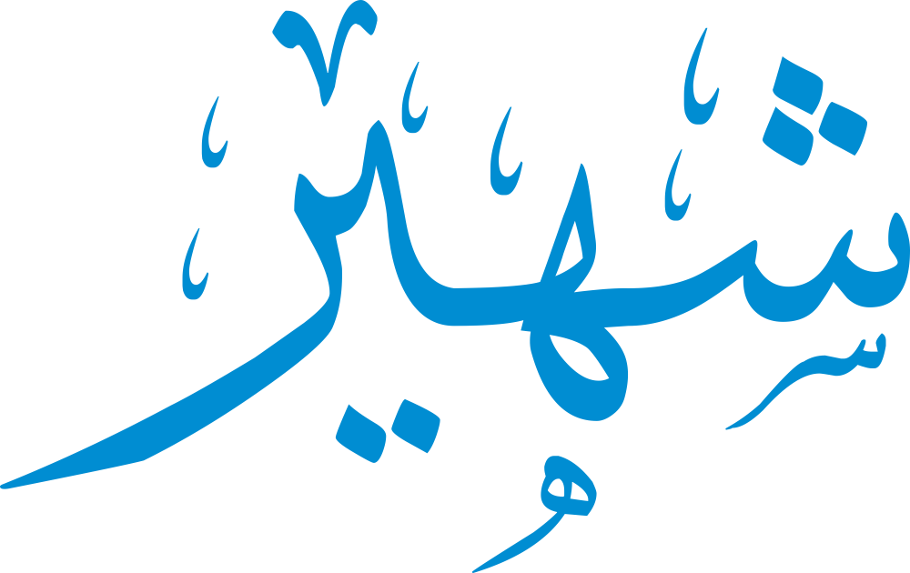 تصميم مخطوطة اسم شهير بخط إيكو المزخرف (Eco Font) بصيغة PNG شفافة بدون خلفية، يتميز بترابط فني رائع بين الهاء والياء يعكس الجاذبية والأصالة العربية.