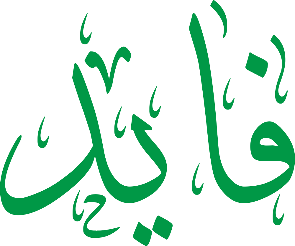 تصميم مخطوطة اسم فايد بخط إيكو المزخرف (Eco Font) بصيغة PNG شفافة بدون خلفية، يتميز بترابط فني رائع بين الياء والدال يعكس الثقة والأصالة الكلاسيكية.