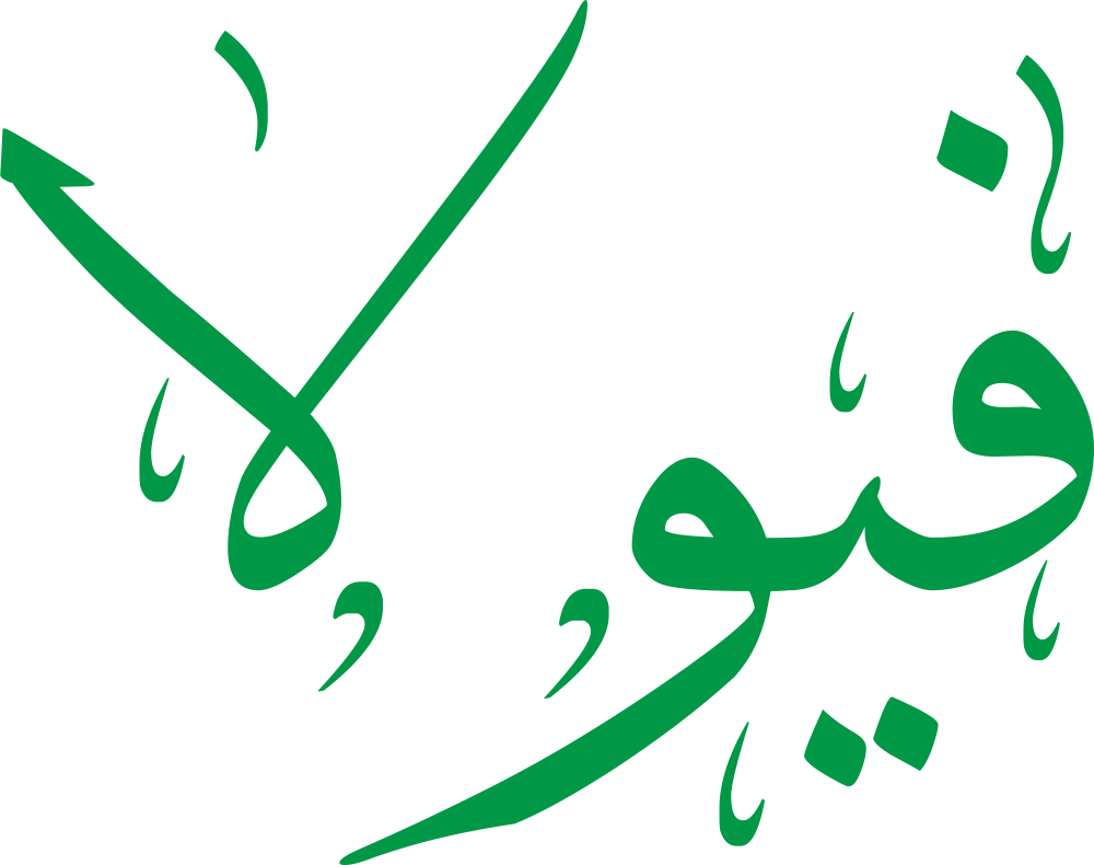 تصميم مخطوطة اسم فيولا بخط إيكو مزخرف بصيغة PNG شفافة بدون خلفية، مع ترابط أنيق للحروف العربية ولمسة نهائية ناعمة.