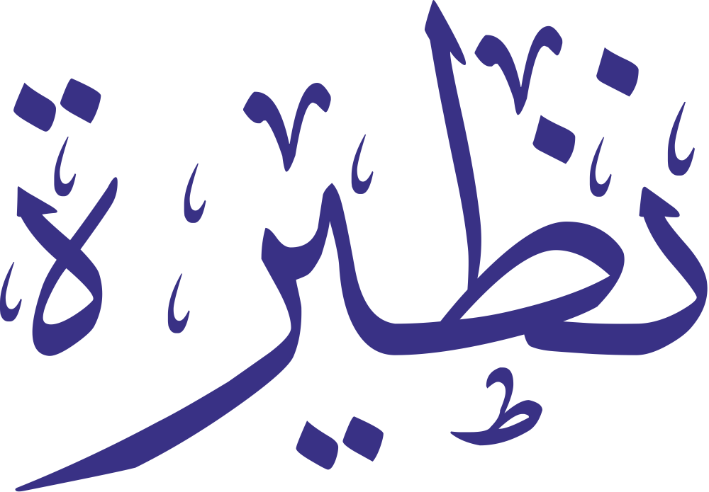 تصميم مخطوطة اسم نظيرة بخط إيكو المزخرف (Eco Font) بصيغة PNG شفافة بدون خلفية، يُظهر تماسك حروف النون والضاد والياء والراء والتاء المربوطة في شكل وقور يعكس عمق الاسم وأصالته العربية.