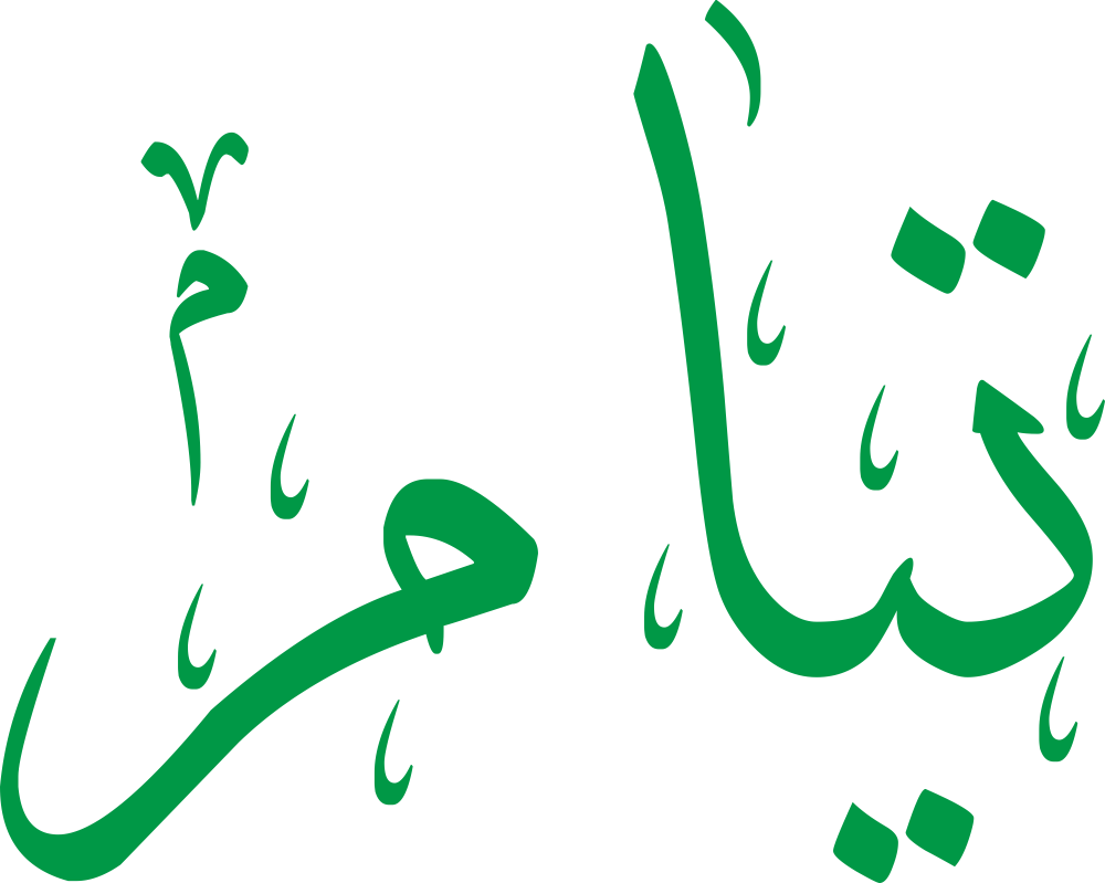 مخطوطة اسم تيام بخط إيكو مزخرف بصيغة PNG شفافة بدون خلفية، تُظهر نقطتي التاء متوازنتين وياءً خفيفة مع ميم نهائية مغلقة بذيل صاعد.