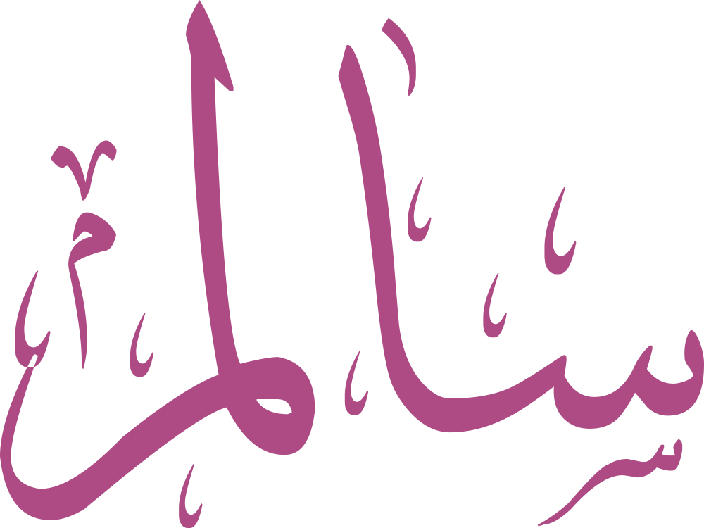 مخطوطة اسم سالم بخط إيكو مزخرف بصيغة PNG شفافة بدون خلفية، تُظهر سينًا بثلاث أسنان متوازنة مع لام طويلة عمودية وميم نهائية متماسكة.