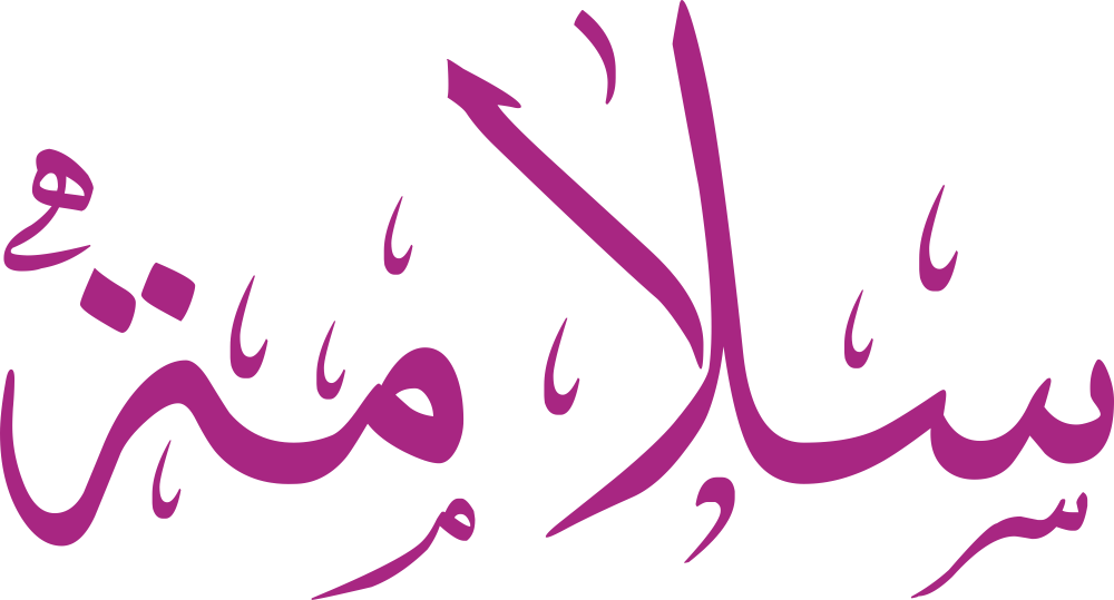 مخطوطة اسم سلامة بخط إيكو مزخرف بصيغة PNG شفافة بدون خلفية، تُظهر سينًا بثلاث أسنان واضحة ولامًا عمودية مع ميم متماسكة وتاء مربوطة مختصرة.