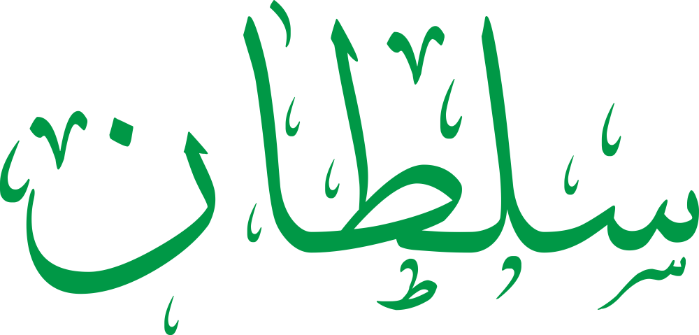 مخطوطة اسم سلطان بخط إيكو مزخرف بصيغة PNG شفافة بدون خلفية، تُظهر سينًا بثلاث أسنان واضحة ولامًا طويلة مع طاء بنقطة دقيقة ونون نهائية ثابتة.