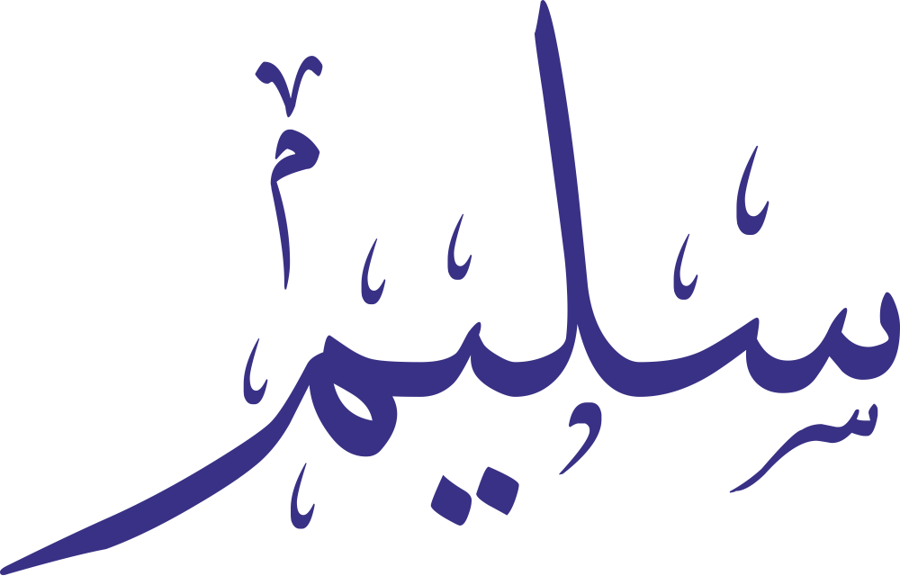 مخطوطة اسم سليم بخط إيكو مزخرف بصيغة PNG شفافة بدون خلفية، تُظهر سينًا بثلاث أسنان واضحة ولامًا طويلة مع ياء بنقطة دقيقة وميم نهائية متماسكة.