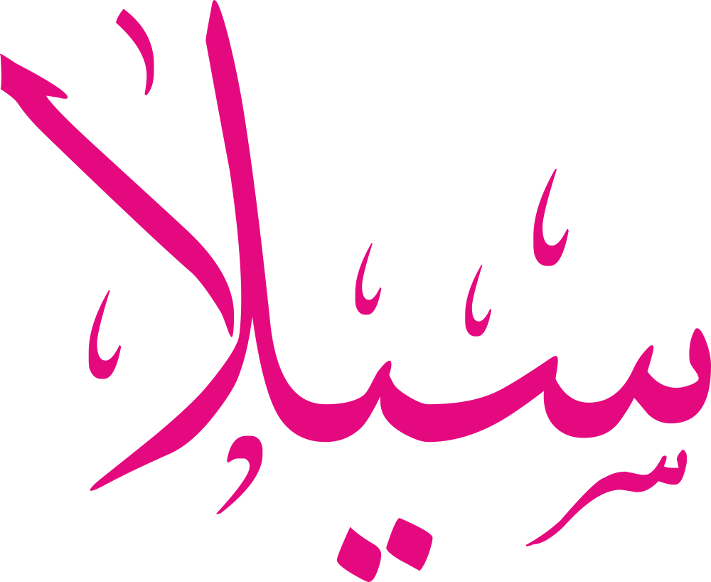 مخطوطة اسم سيلا بخط إيكو مزخرف بصيغة PNG شفافة بدون خلفية، تُظهر سينًا رشيقة وياءً خفيفة مع لام طويلة تنتهي بألف مستقيمة.