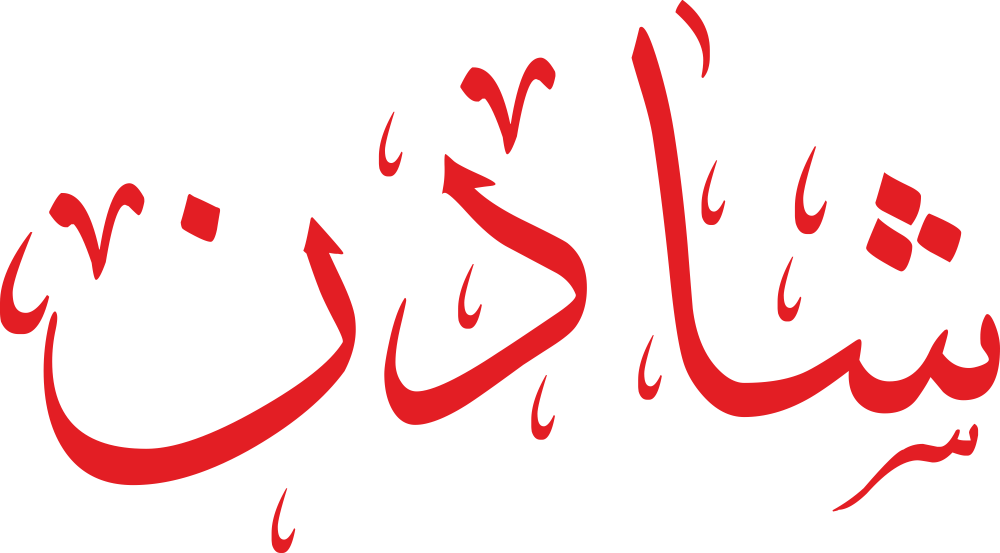 مخطوطة اسم شادن بخط إيكو مزخرف بصيغة PNG شفافة بدون خلفية، تُظهر شينًا بنقاط ثلاث متوازنة مع دال واضحة ونون نهائية حادة.