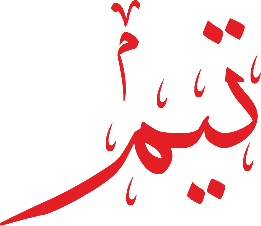 مخطوطة اسم تيم بخط إيكو مزخرف بصيغة PNG شفافة بدون خلفية، تُظهر تاءً بنقطتين متوازنتين وياءً بنقطة دقيقة مع ميم نهائية متماسكة.